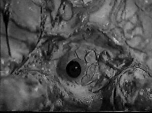 The Crawling Monster [1964 TV Movie]